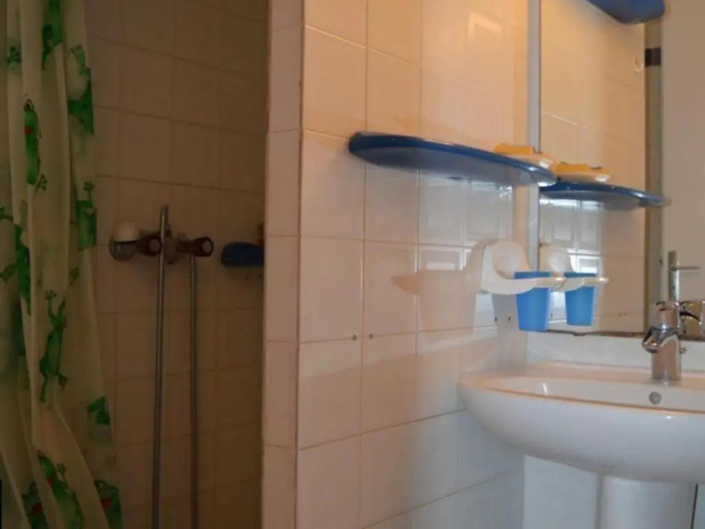 Appartement Saint-Cyprien, 2 pièces, 6 personnes - FR-1-225D-65
