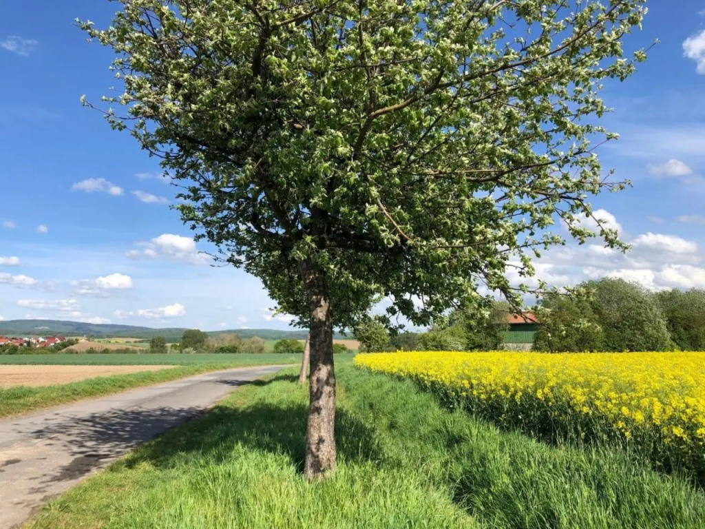 Ferienwohnung-Wesertal
