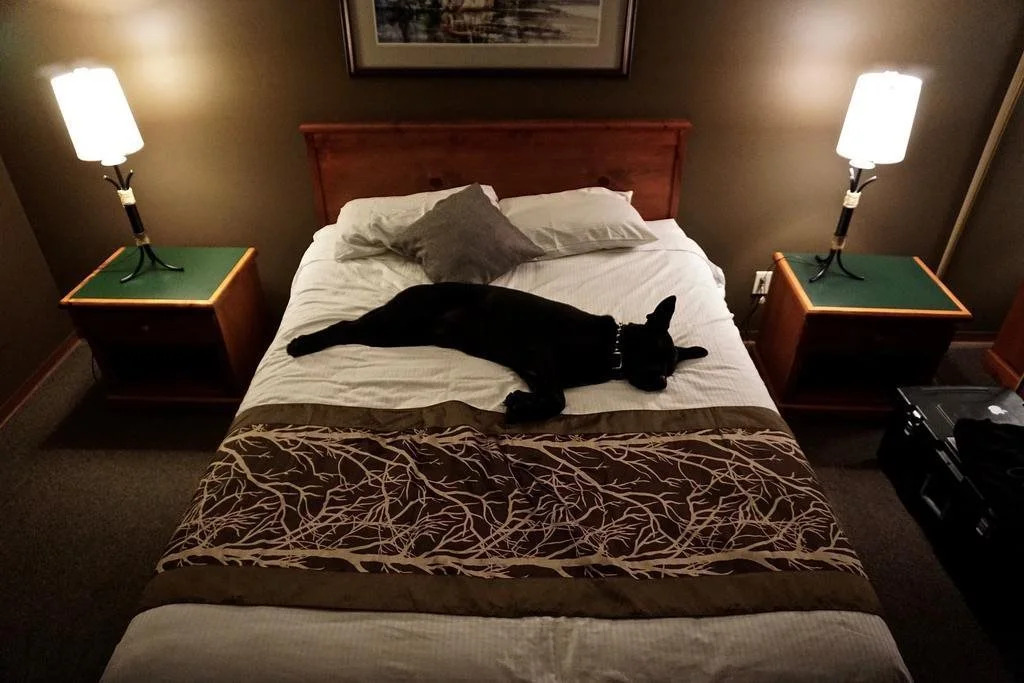 The Bamfield Motel