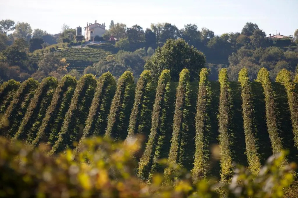 Azienda Agrituristica Calronche