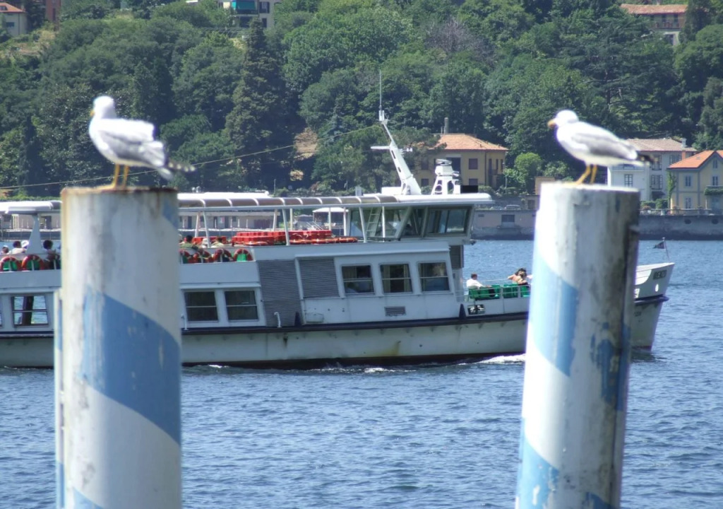 Le Finestre sul Lago