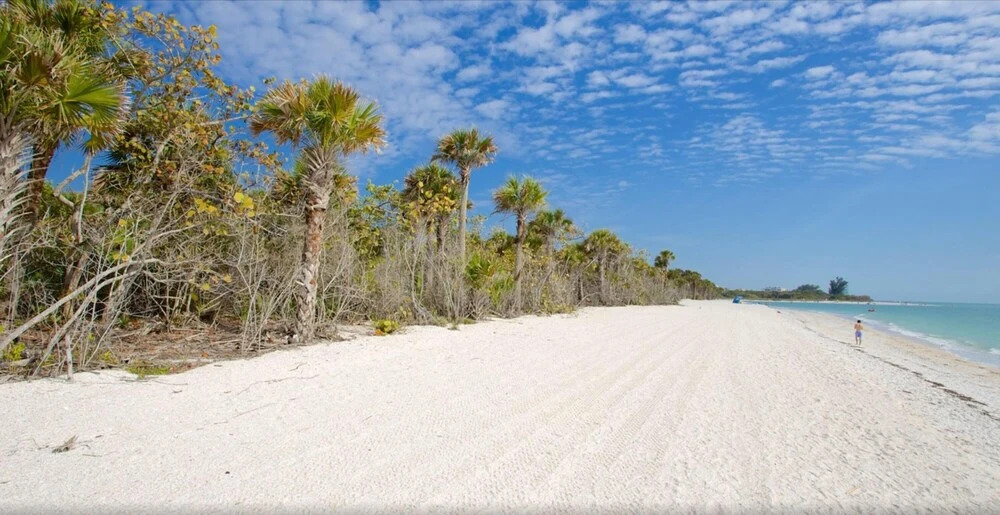 3734 Tomlinson St - Barefoot Hideaway by Coastal Vacation Properties