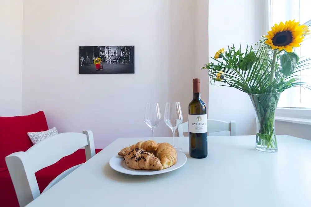 Barbo Palace Apartments and Rooms