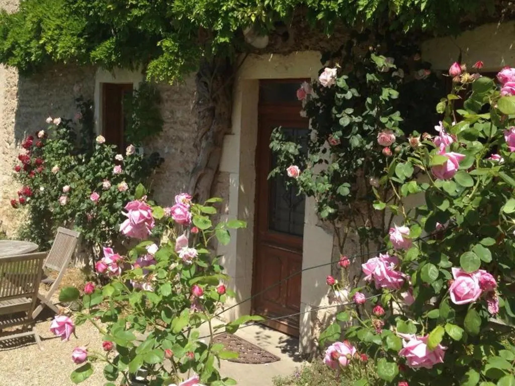 Authentique Grange du XVème siècle avec jardin et animaux admis - FR-1-489-275