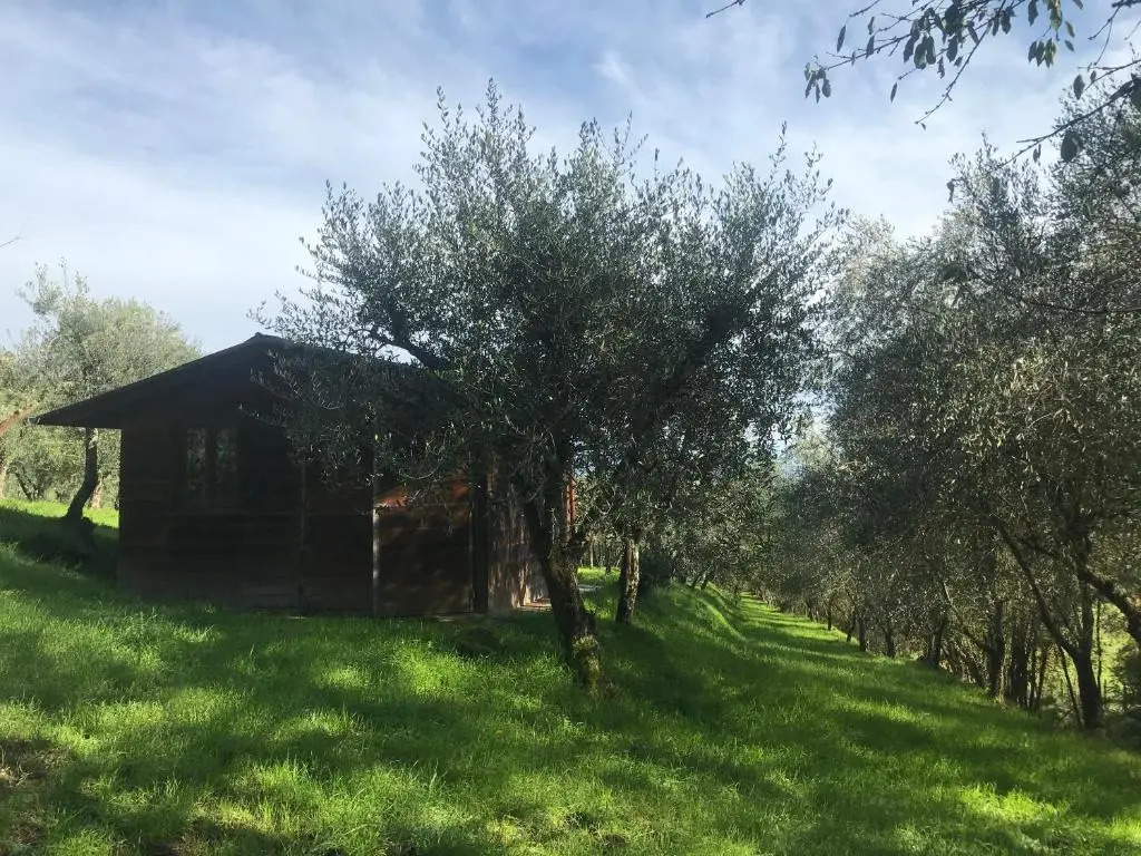 Agriturismo Podere I Caldino