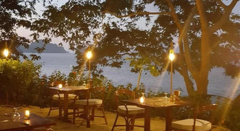 The Alternative Beach Cottages
