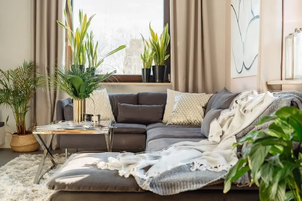Penthouse Avenue by Loft Affair