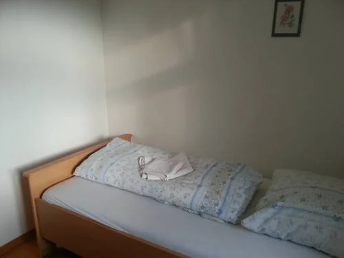 Hotel Falken