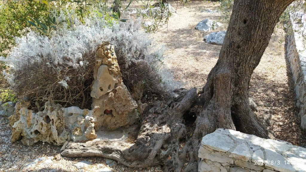 Il giardino di Mary