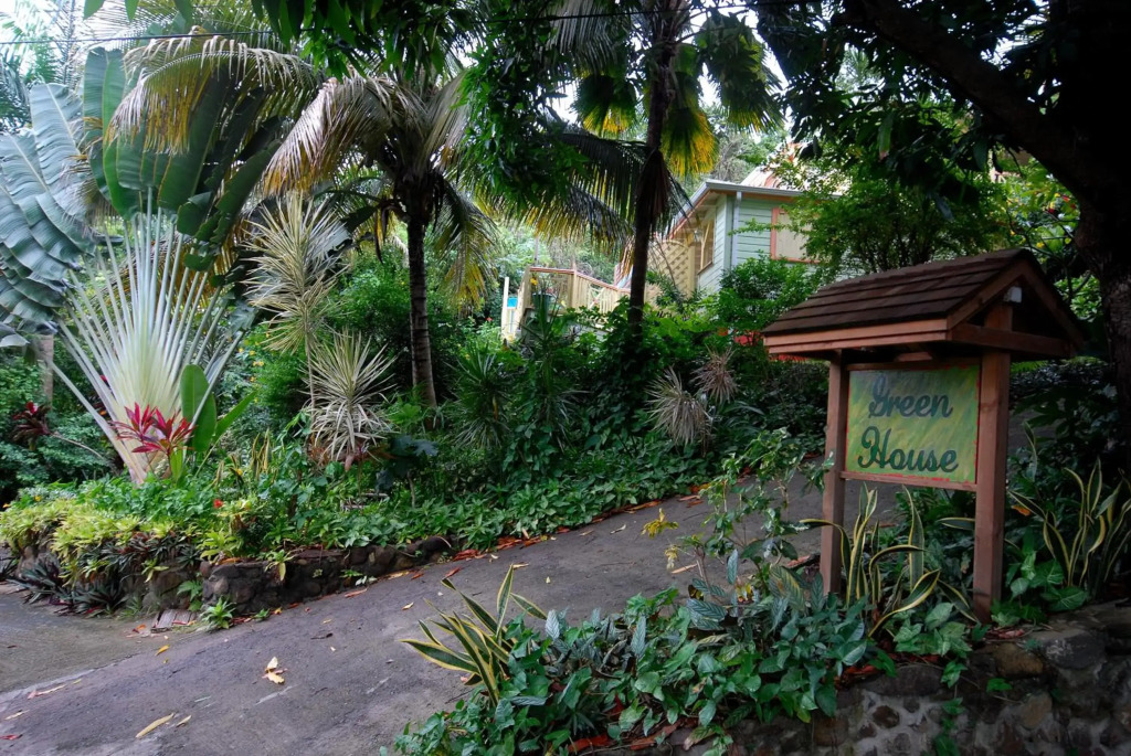 GREEN HOUSE
