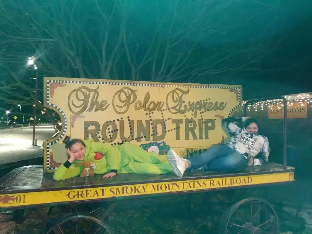The Mountain Forager Cabin, Whitewater Rafting, Polar Express, Hot Tub, Home Gym