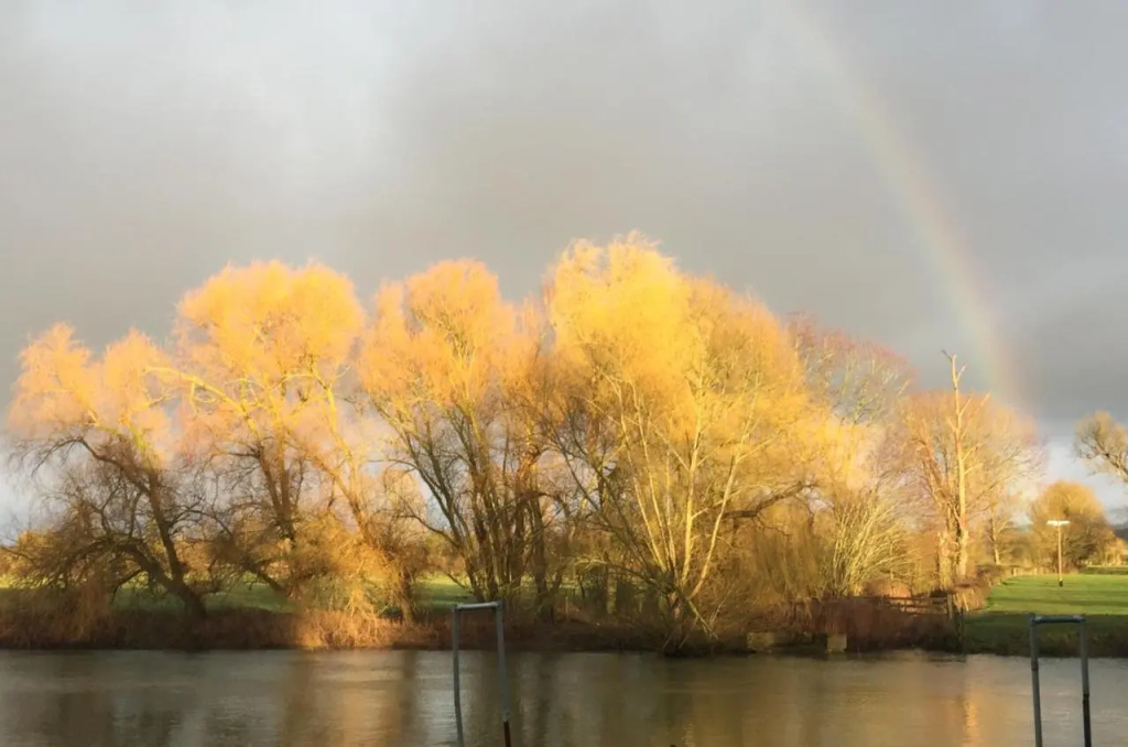 Thames Edge Rooms