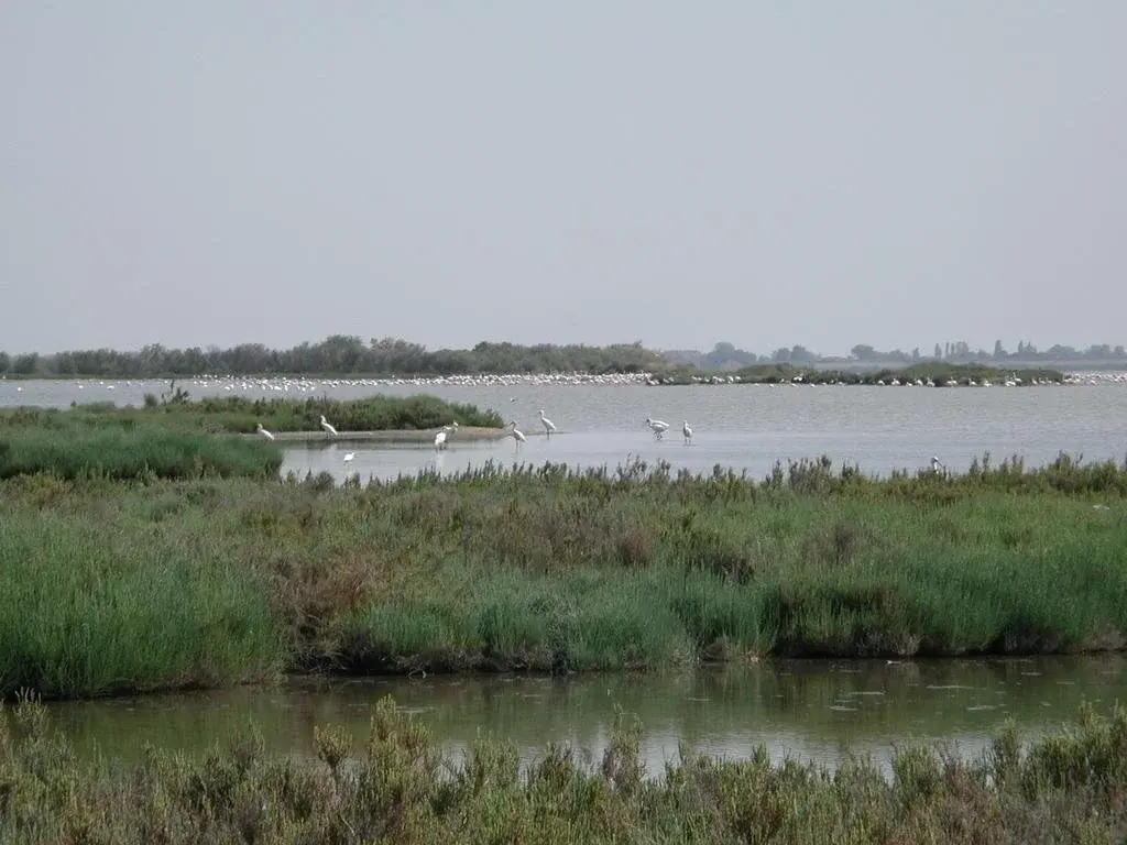 Villetta Lagomare