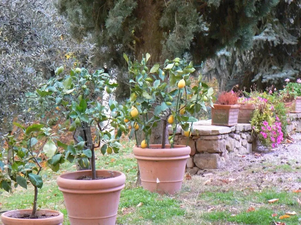 Apartment With 2 Bedrooms in Monte San Pietrangeli, With Balcony and Wifi Near the Beach