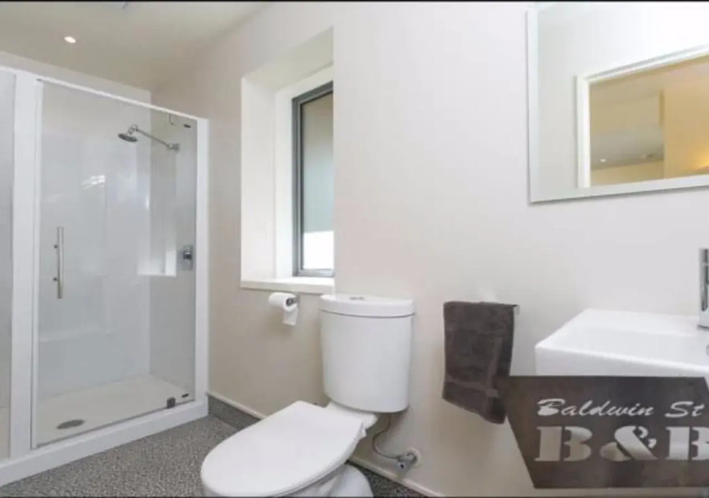 Baldwin Street BNB