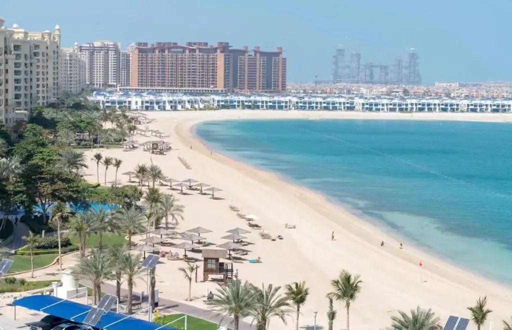 Full marina view, Marina