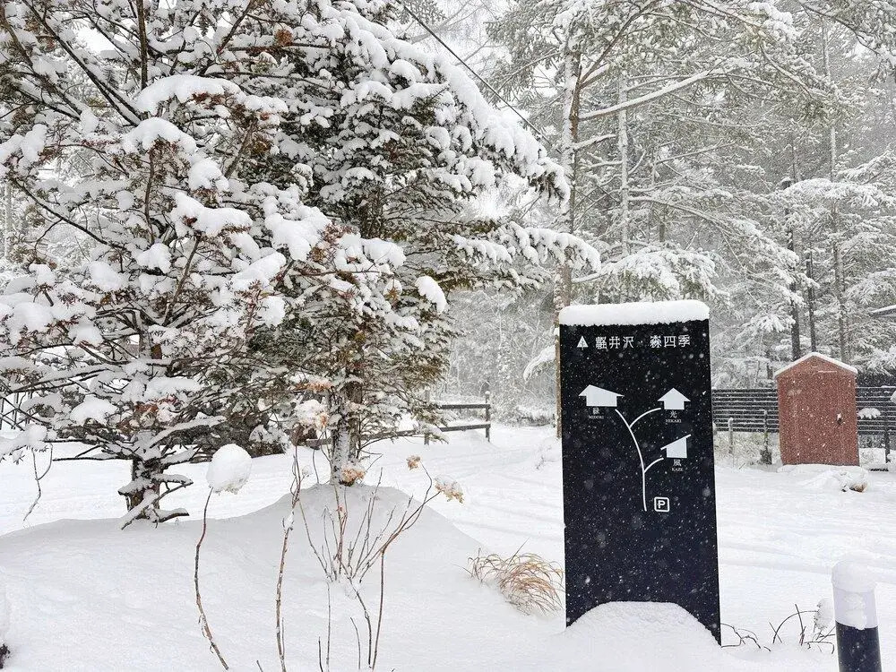 Karuizawa Forest Seasons Villa
