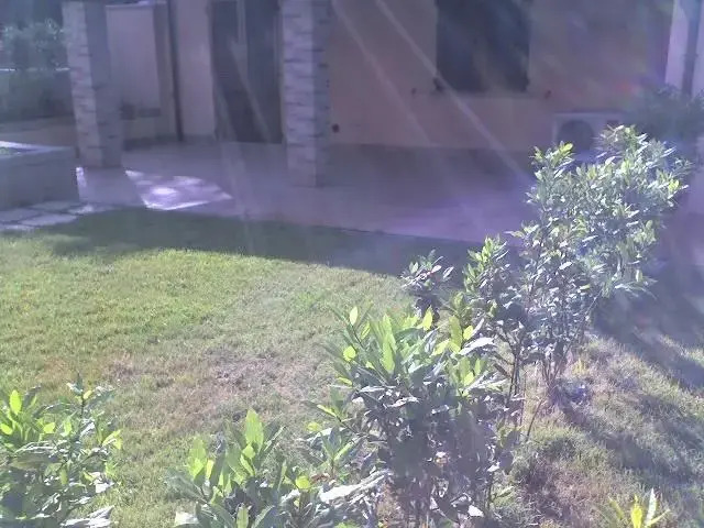 I Sugheroni