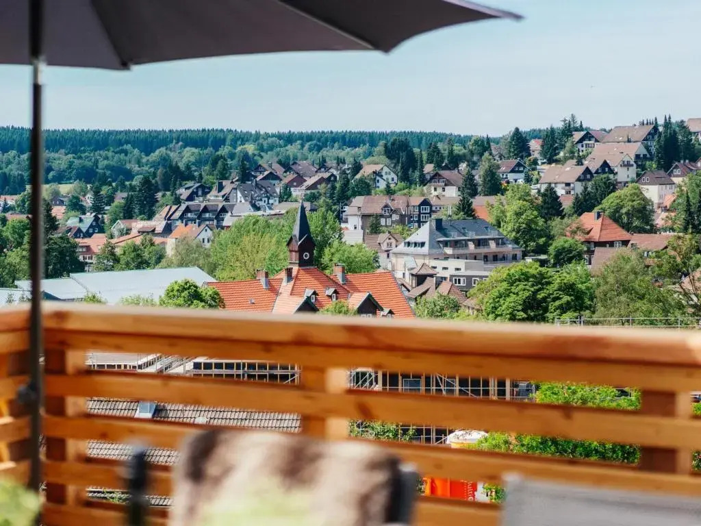 Hillside Braunlage