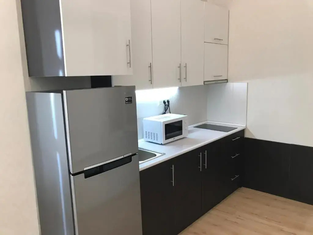 Full Comfort Apartment on Aghmashenebeli