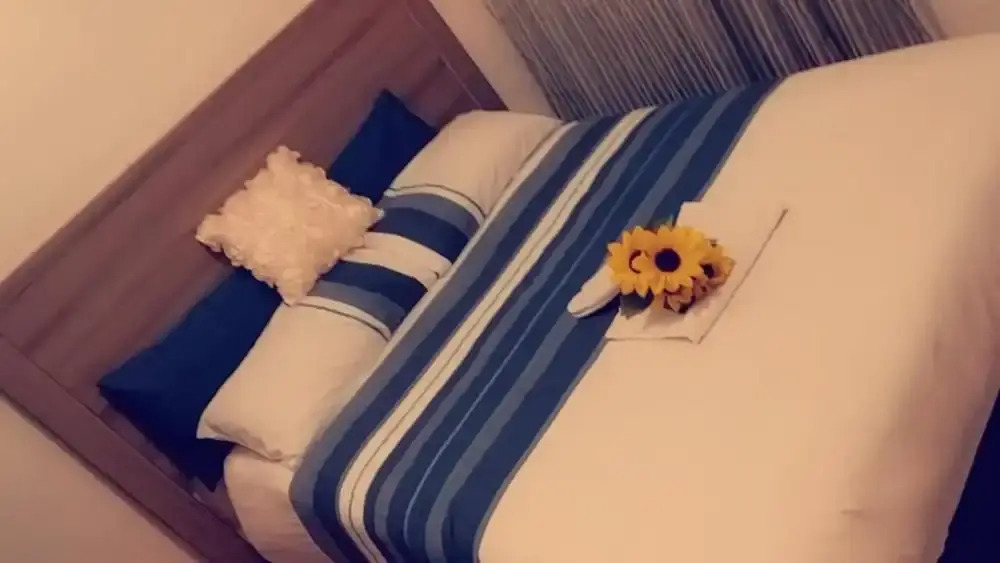 Midrand Bed and Breakfast