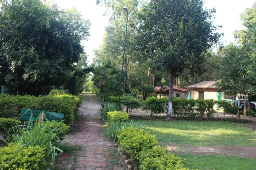 Shuklaphanta Jungle Cottage