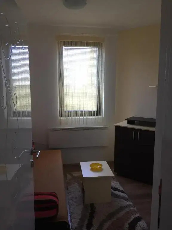 Apartman 2 Kopaonik - Vila Boris