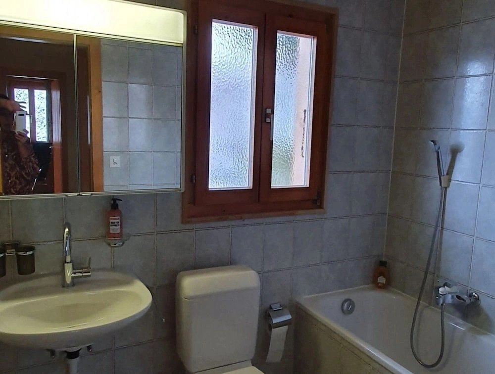 Pet-friendly chalet in Veysonnaz