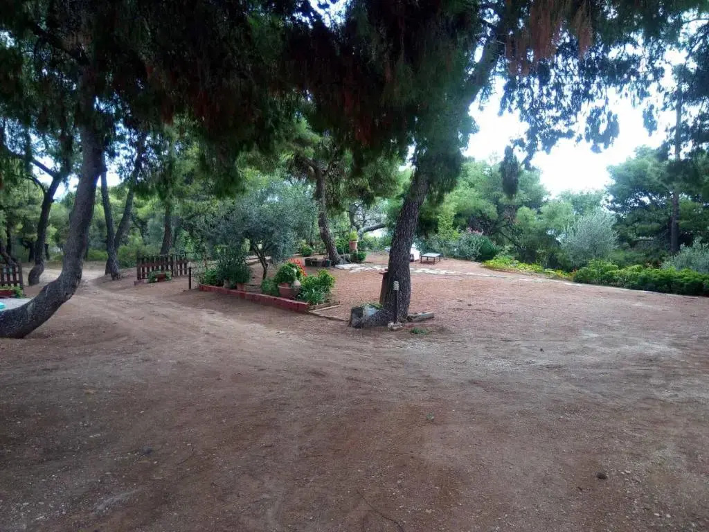 Pefkonas apartments2 100 m from the beach