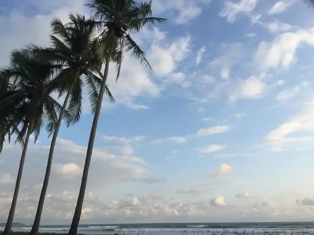 Hotel La Isla