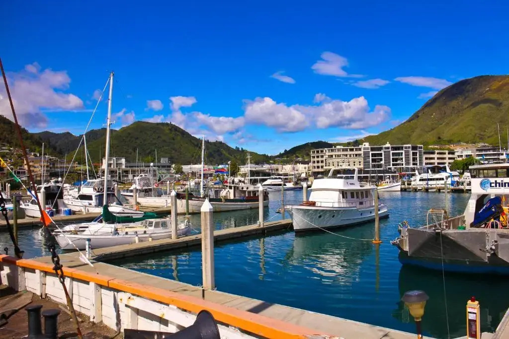 Picton Accommodation Gateway Motel