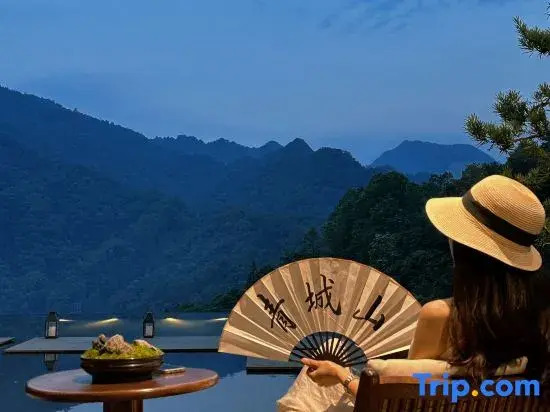 Qingcheng Mountain Wangshan Qi Yueshan(Qingcheng Back Mountain Scenic Area Store)