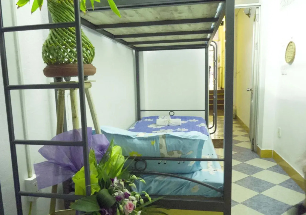 Daisy Hostel