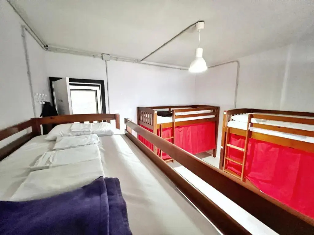 Tenerife Experience Hostel