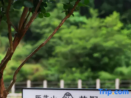 Yandang Mountain Wild Flower Homestay