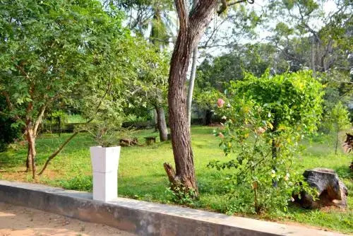 Wilpattu Lake View Bungalow