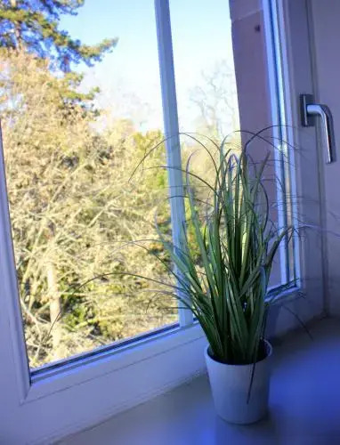 Studio de la Petite Venise