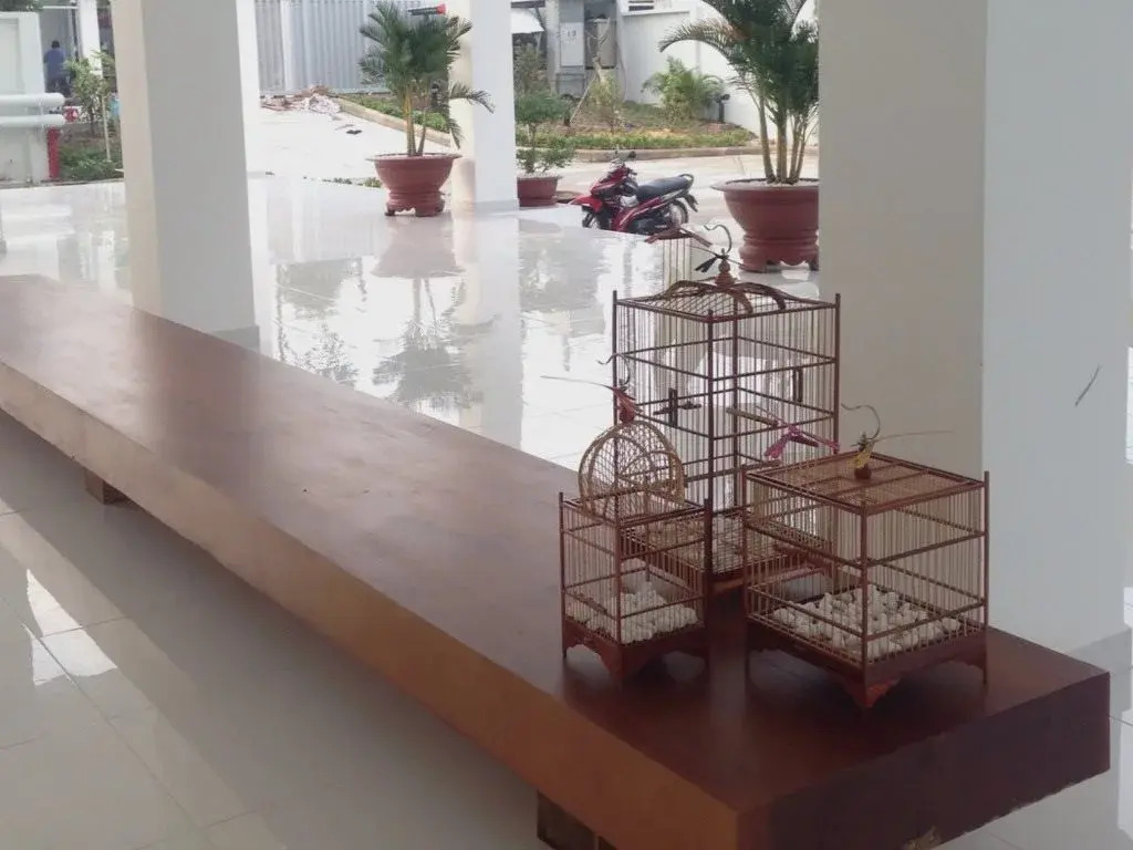 Waterfall Residences Binh Duong