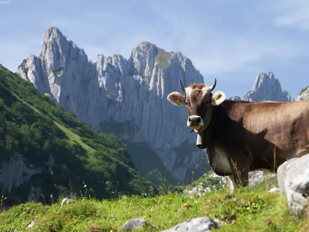 Saas Almagell - With Three and Four Thousand Metre Peaks in the Background