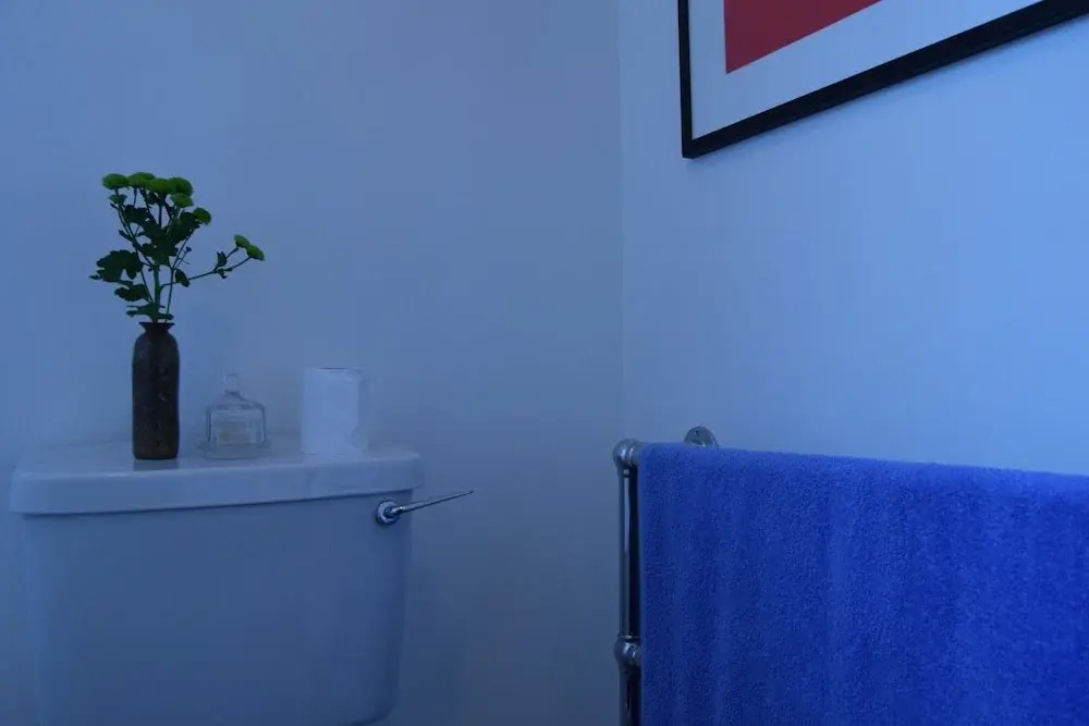 1 Bedroom Flat In South Hackney