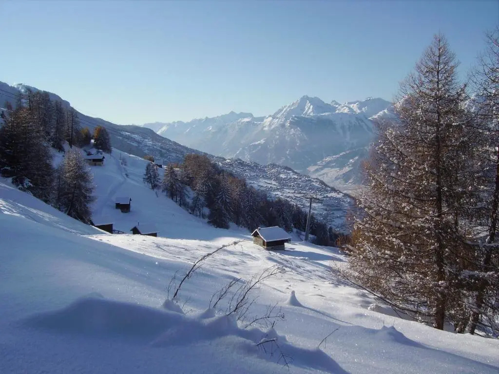 Magrappé M 231 - SKI LIFT apartment 6 pers