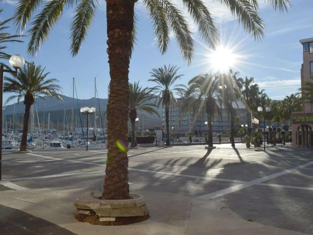 Appartement Argelès-sur-Mer, 2 pièces, 4 personnes - FR-1-225-680