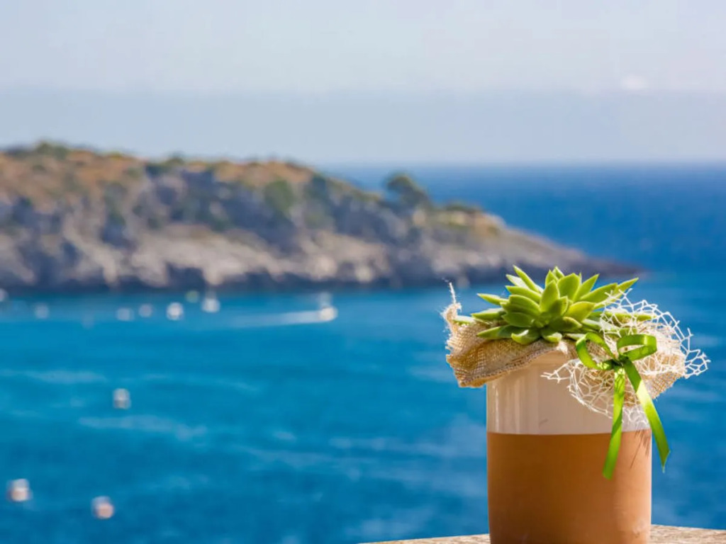Sun & Sea terrace 28978