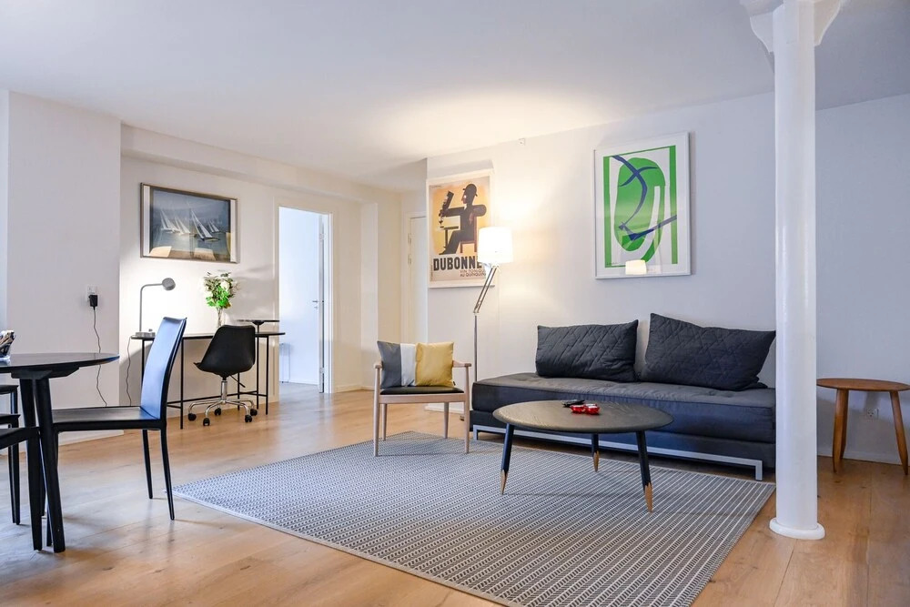 Modern and Bright Apartment in the Heart of Copenhagen