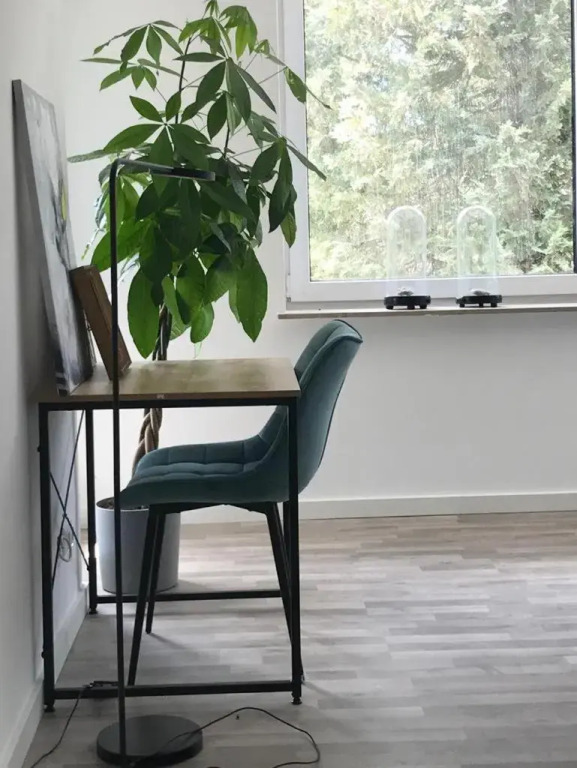 Martins Guesthouse Zimmer