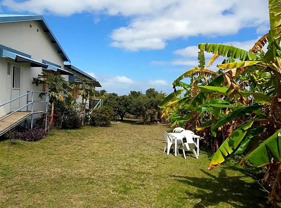 Zoiseaux Paradis