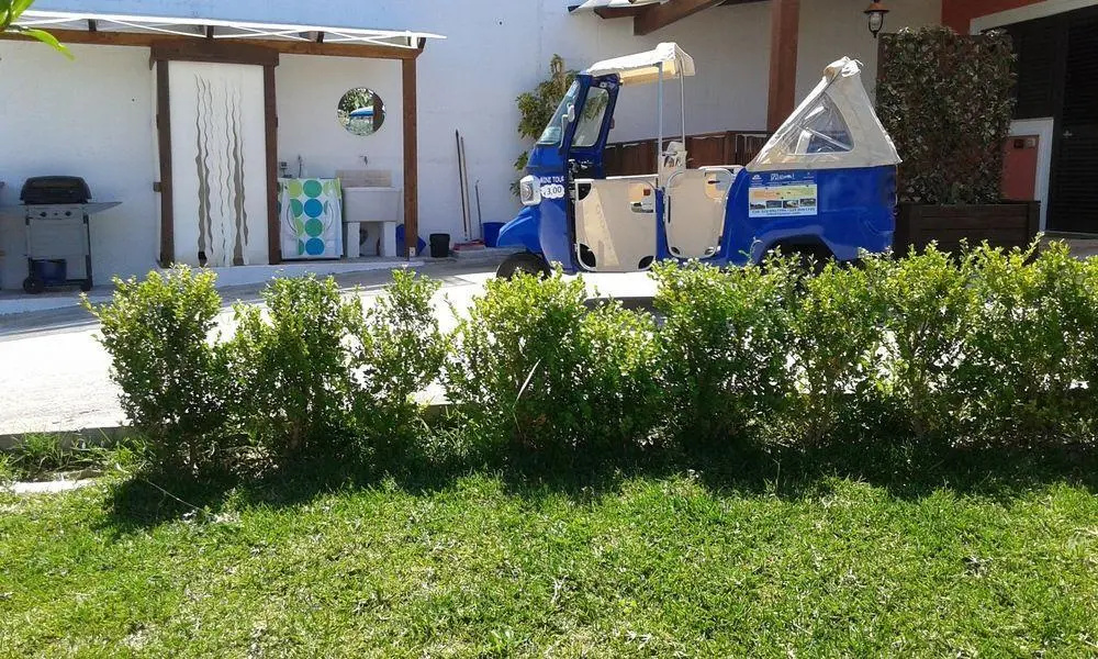 Il Patio Del Cilento