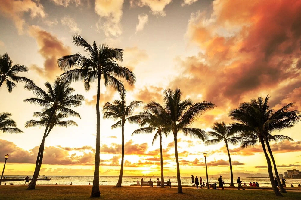 Spacious & Sophisticated Palms Studio Condo by RedAwning, Honolulu