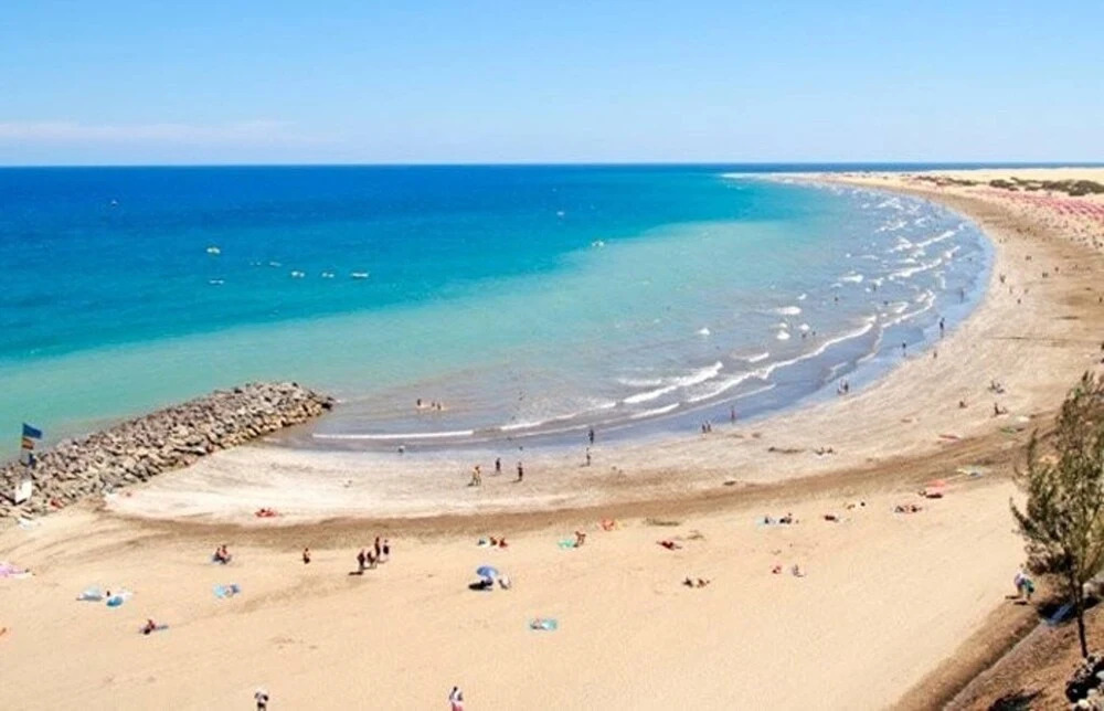 Canoa Palmera Oasis 2