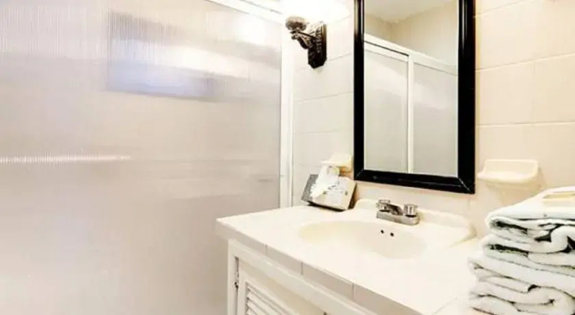 Apartamentos Tortugas